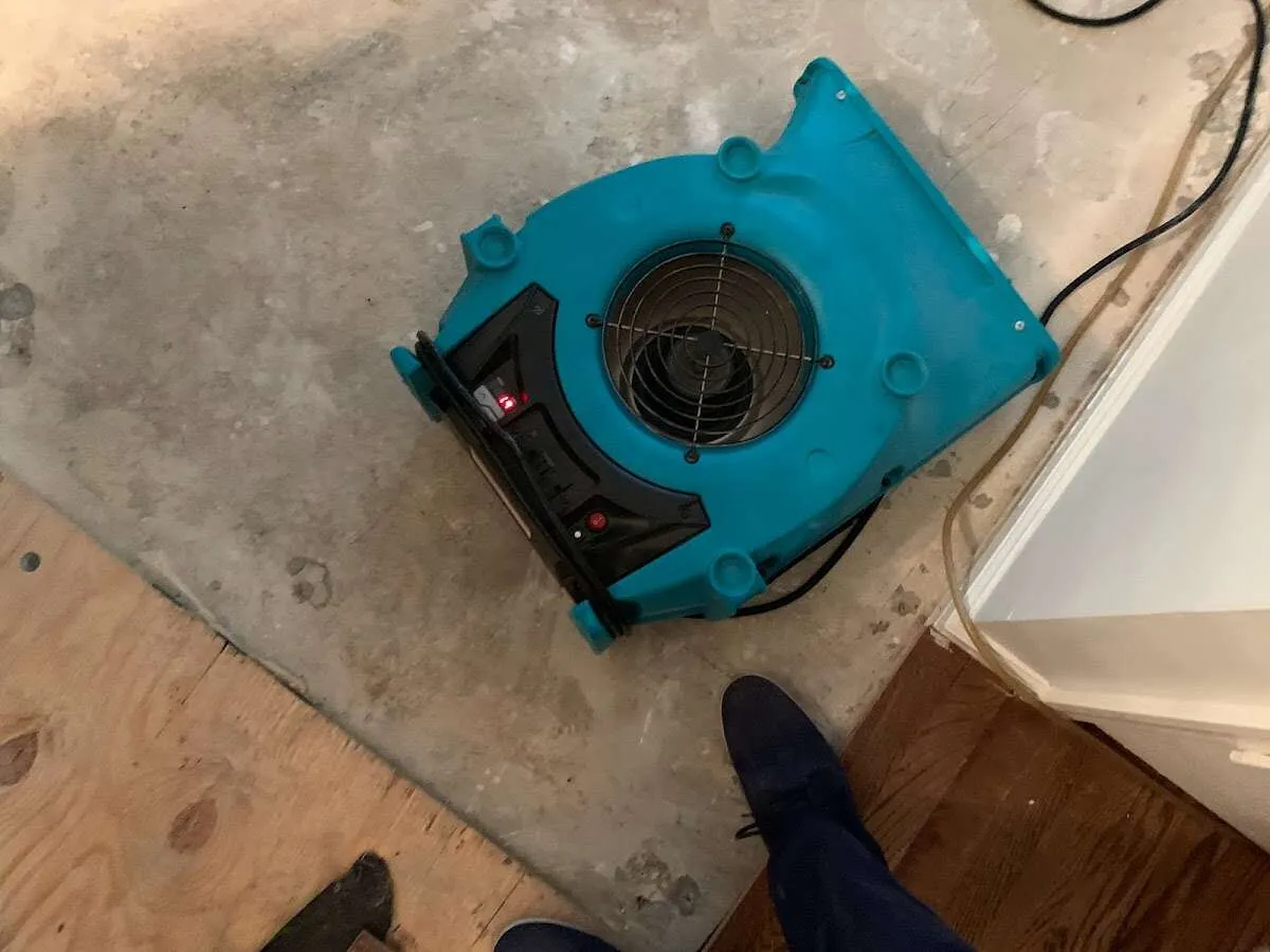 Air mover drying subfloor during Commercial Water Damage Restoration in Avondale